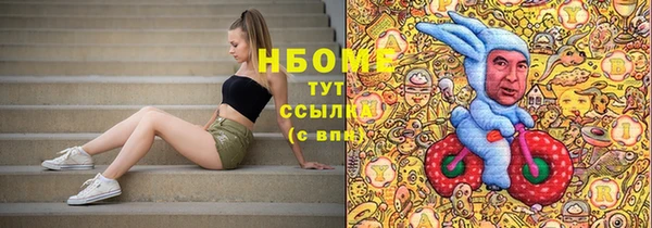 индика Вязники